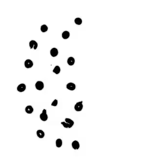 config showImages