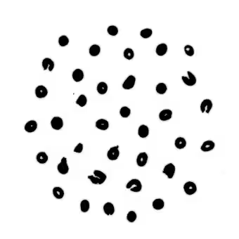 config image